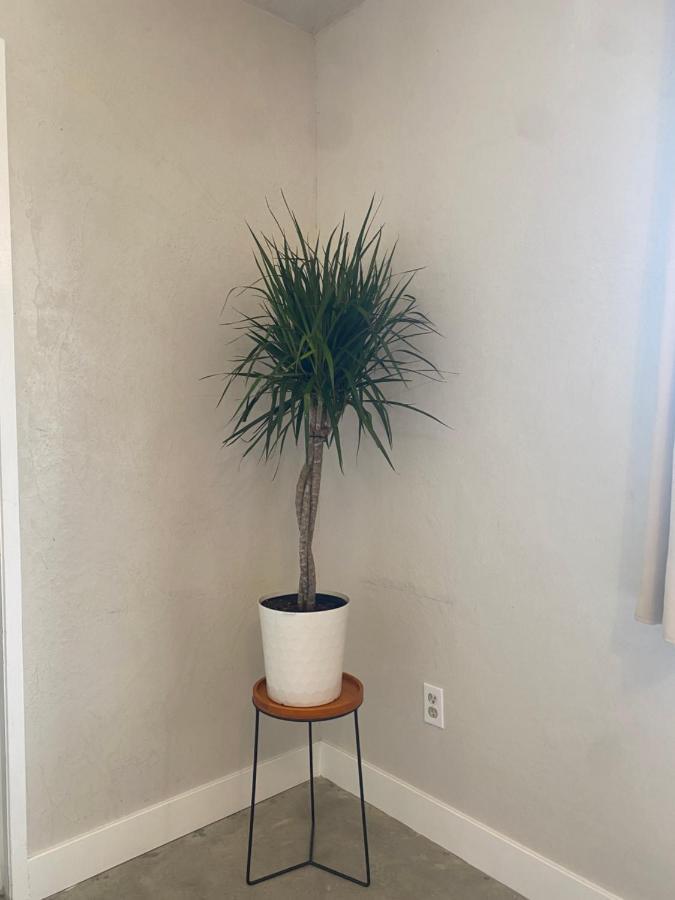 Casa Del Desierto - Panoramic Views - Pet Friendly - Fire Pit Villa Joshua Tree Bagian luar foto